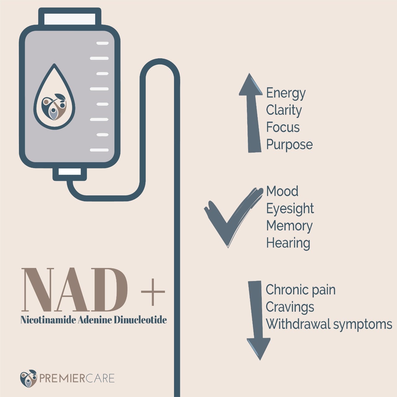 nicotinamide adenine dinculeotide or NAD+